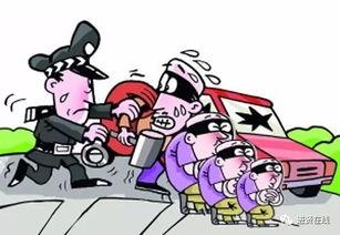 进贤盗窃学生爆料案件最新,警方全力追查,受害者发声揭露真相 第1张 进贤盗窃学生爆料案件最新,警方全力追查,受害者发声揭露真相 第1张