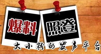 宜昌新闻网爆料台,聚焦民生热点，传递社会声音  第1张